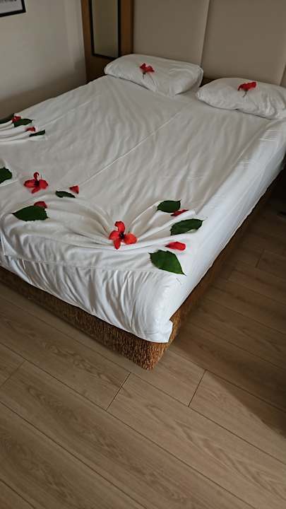 Zimmer Aydinbey Famous Resort