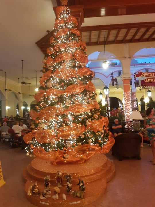 Unser Weihnachtsbaum Hotel Riu Tequila