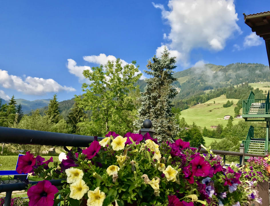 Gartenanlage Hotel Kroneck
