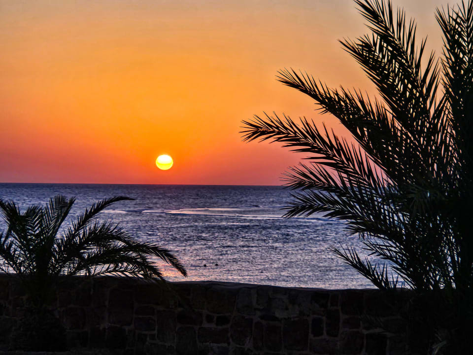 Ausblick Steigenberger Coraya Beach - Adults only