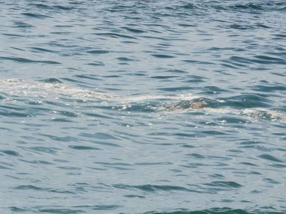 Strand Hotel GHT Maritim