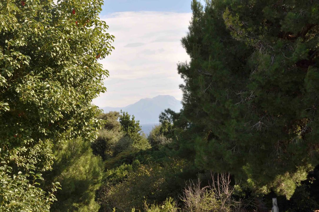 Außenansicht Residenza le Rose Villa d'Arte