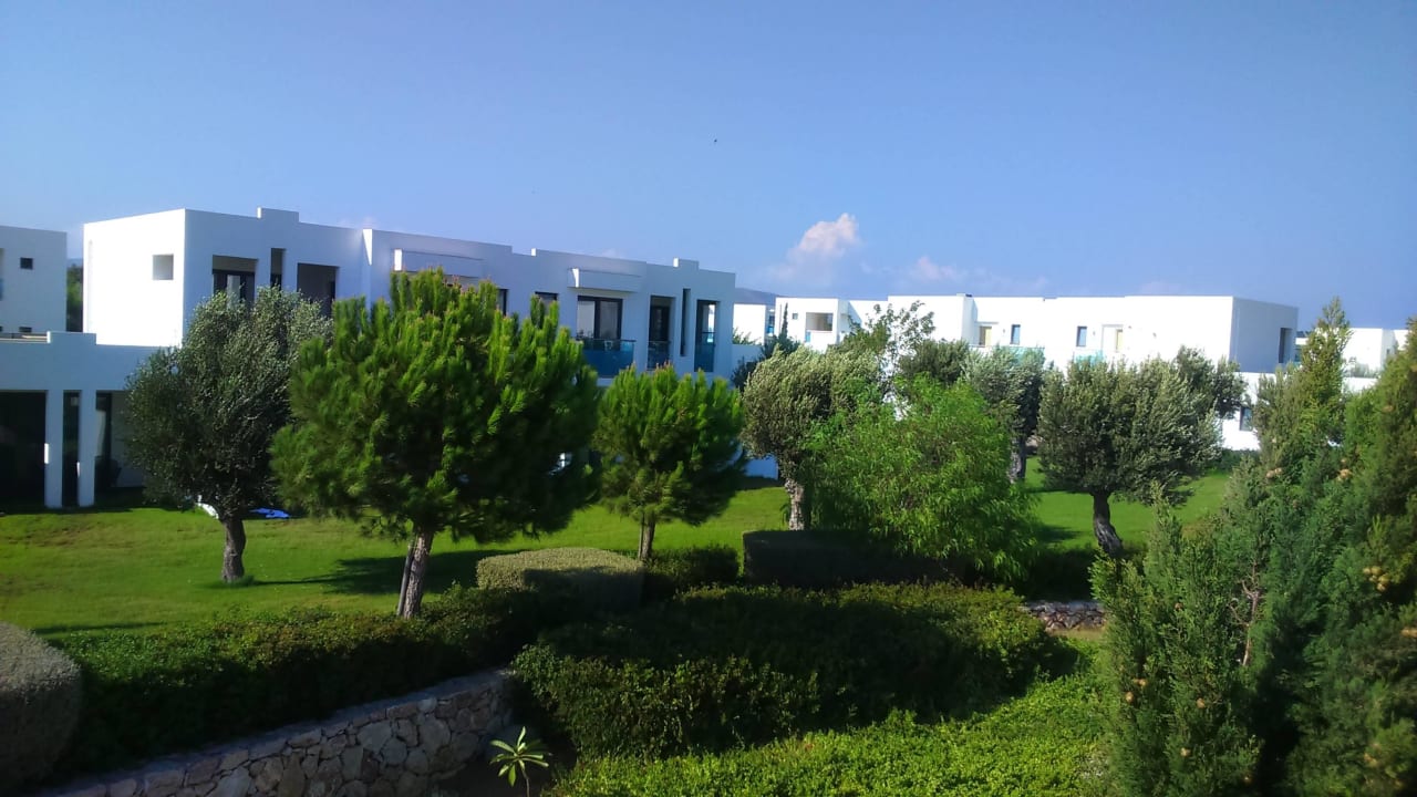 Green Zone Atlantica Plimmiri