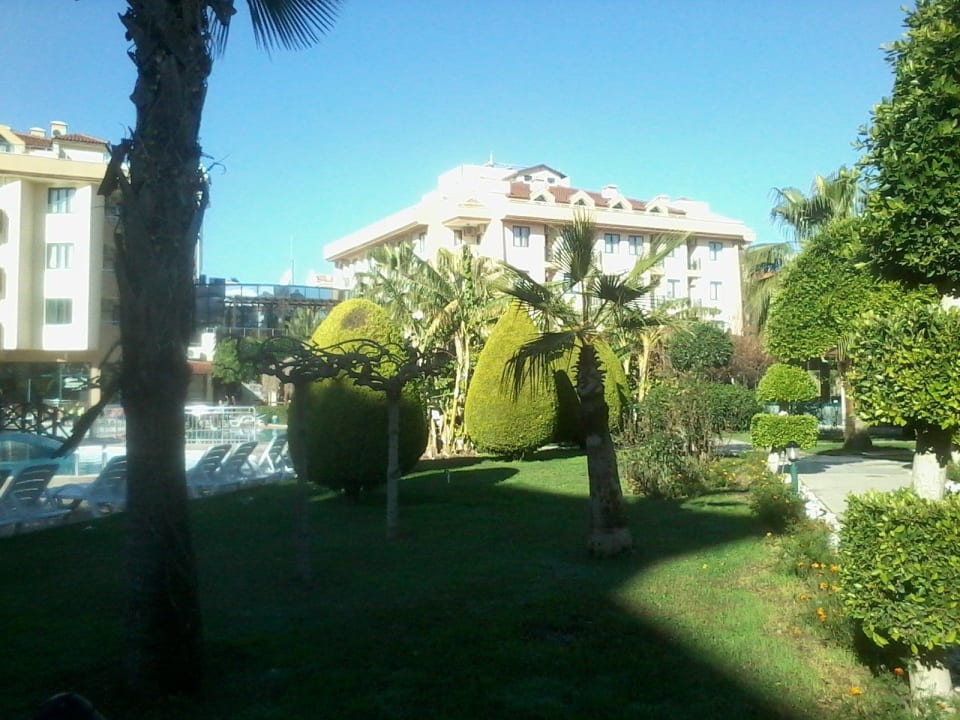 Blick zum Pool Grand Seker Hotel
