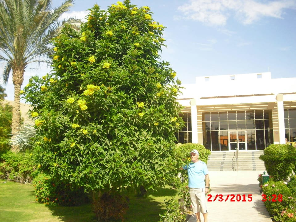 Zahrada Prima Life Makadi Resort