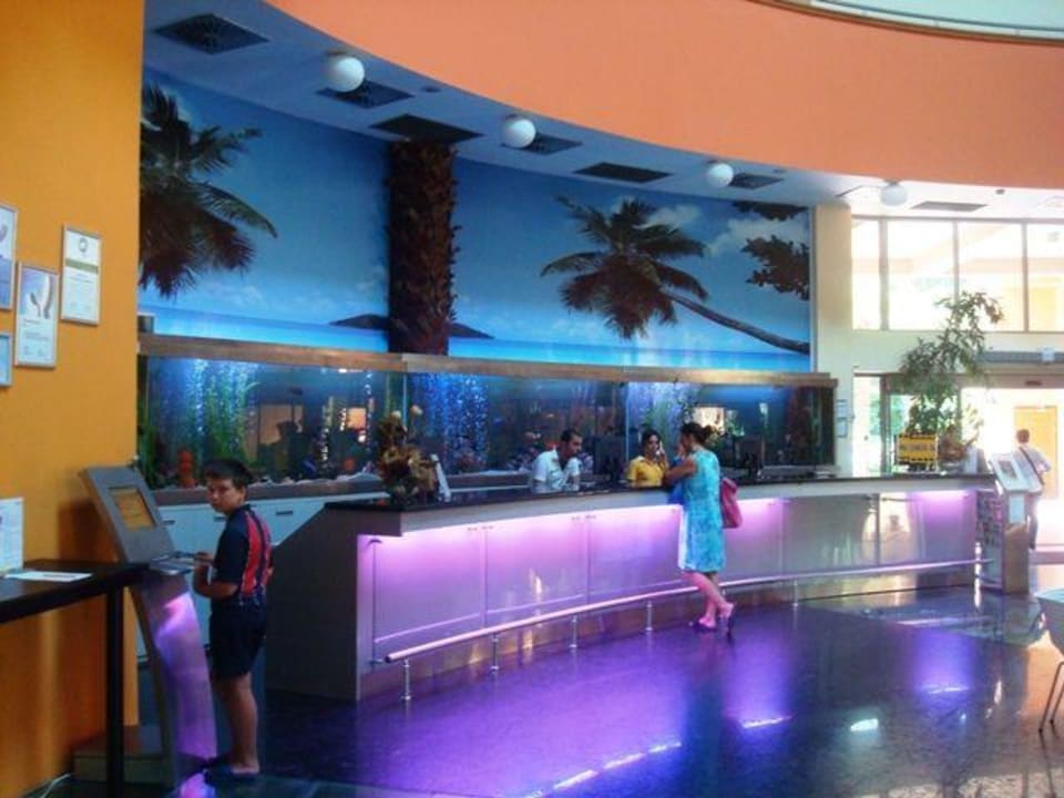 Recepcja hotelu Asteria Family Belek
