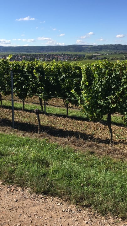 Sonstiges Gästehaus Alter Winzerhof