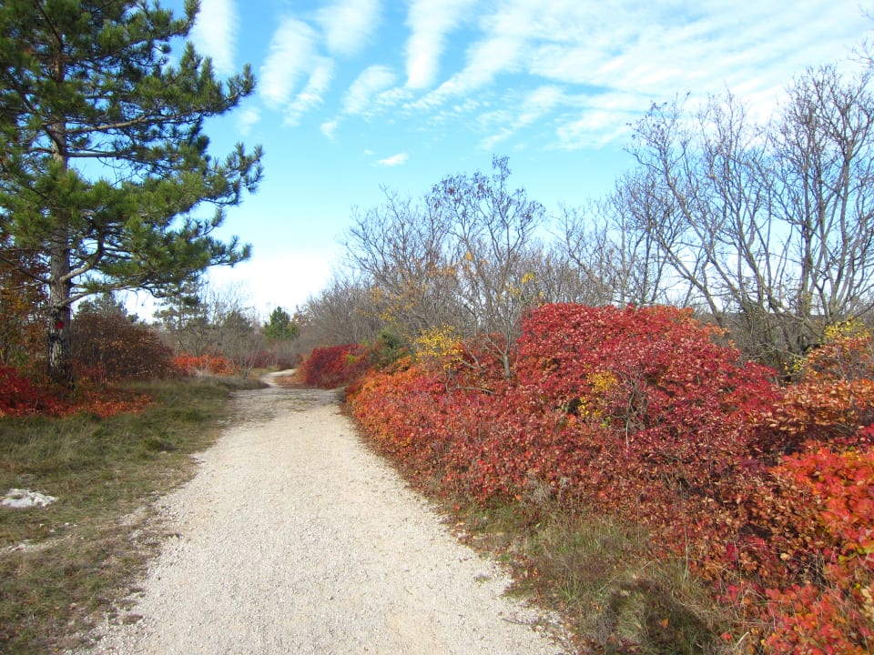 Außenansicht B&B Štirenca