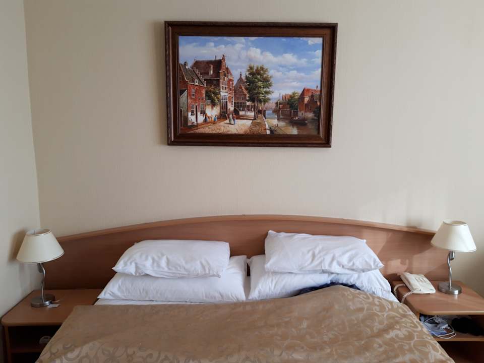 Zimmer Izmailovo Alfa Hotel