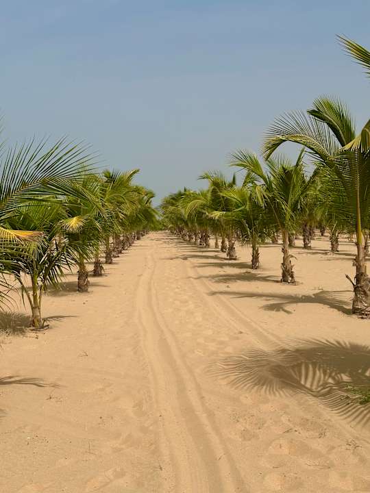 Strand Hotel Riu Baobab - All Inclusive