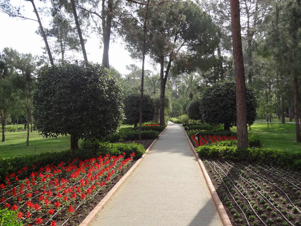 Bepflanzte Wege Balmy Foresta