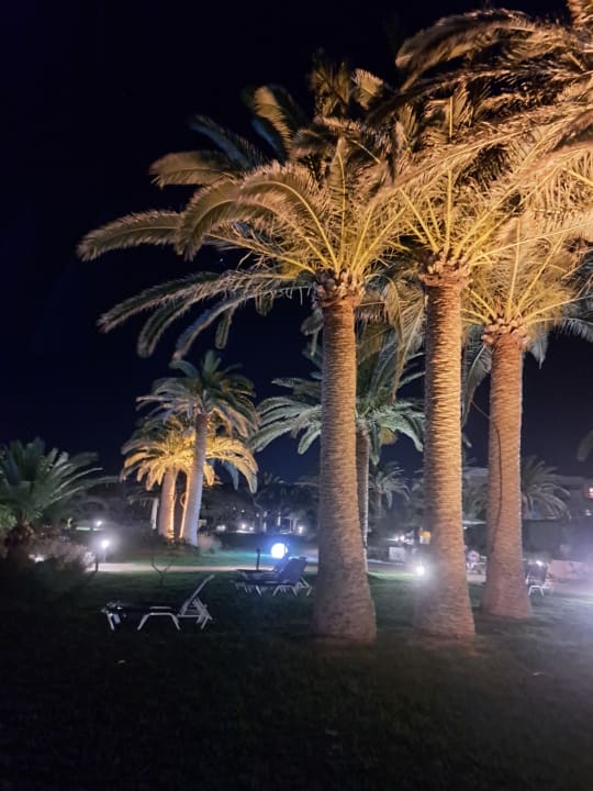 Gartenanlage Anissa Beach & Village