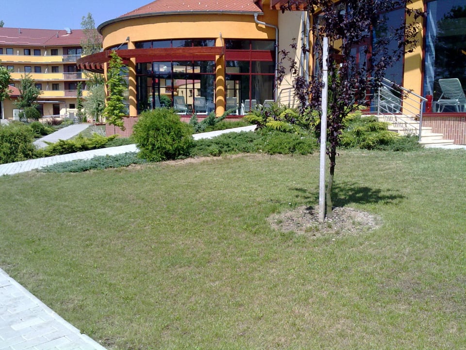 Pohľad na vnútorný teplý bazén Wellness Hotel Patince