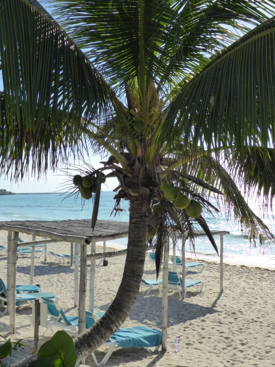 Karibik pur Akumal Bay Beach & Wellness Resort