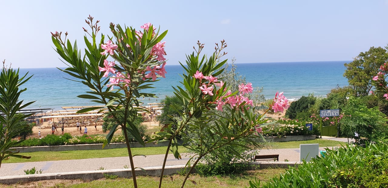 Ausblick Club Sidelya Hotel