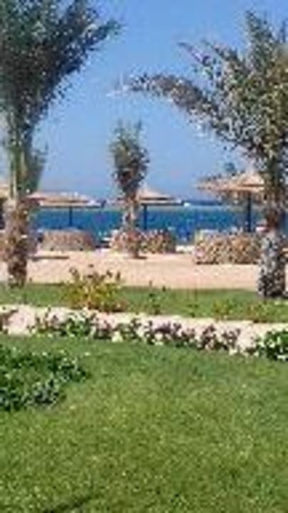 Ausblick Coral Sun Beach
