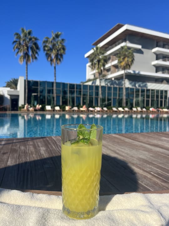 Gastro Acanthus Cennet Barut Collection