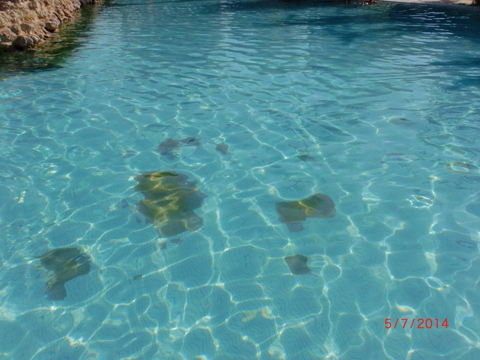 Die rausgebrochenen fliesen sind normal Grand Makadi