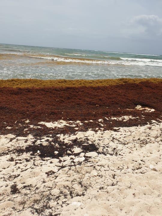 Strand Akumal Bay Beach & Wellness Resort