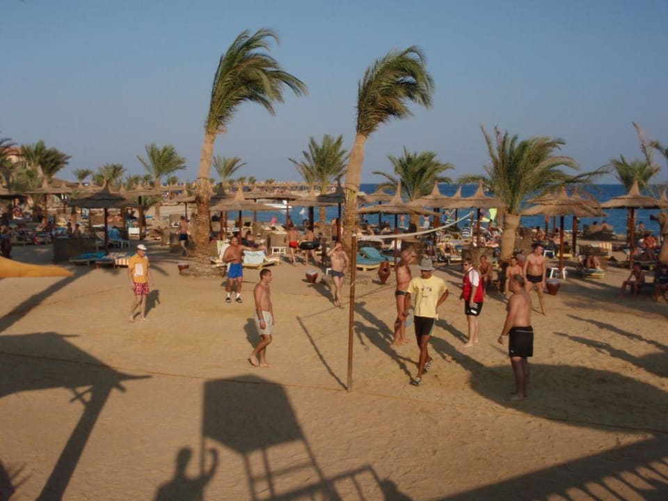 Täglich 2x Volleyball am Strand Beach Albatros Resort