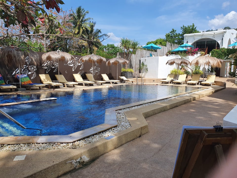 Pool Ocean Breeze Resort