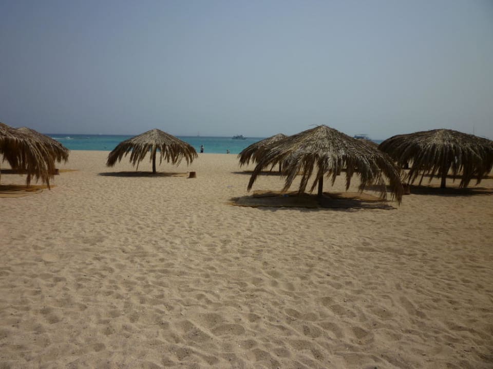 Paradies Beach Pickalbatros Palace Resort