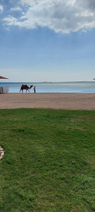 Strand Shams Prestige Abu Soma-Adults Only