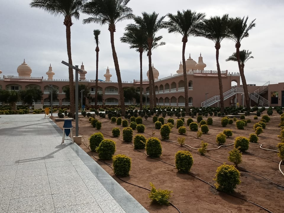 Gartenanlage Pickalbatros Jungle Aqua Park Resort - Neverland Hurghada