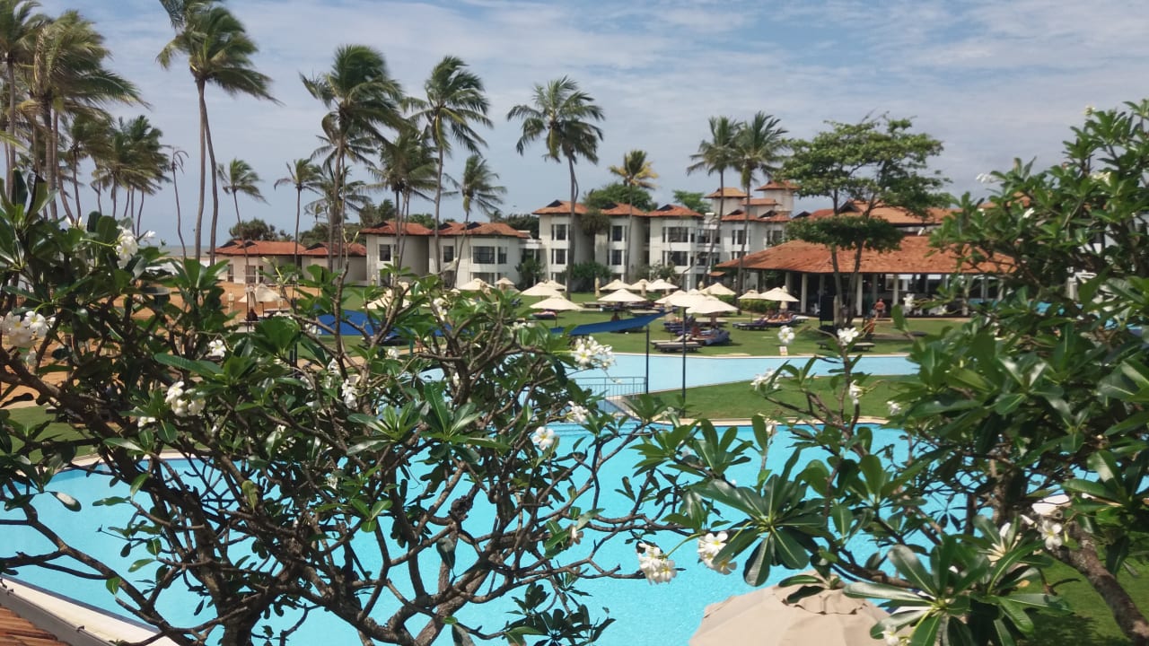 Pool Club Hotel Dolphin