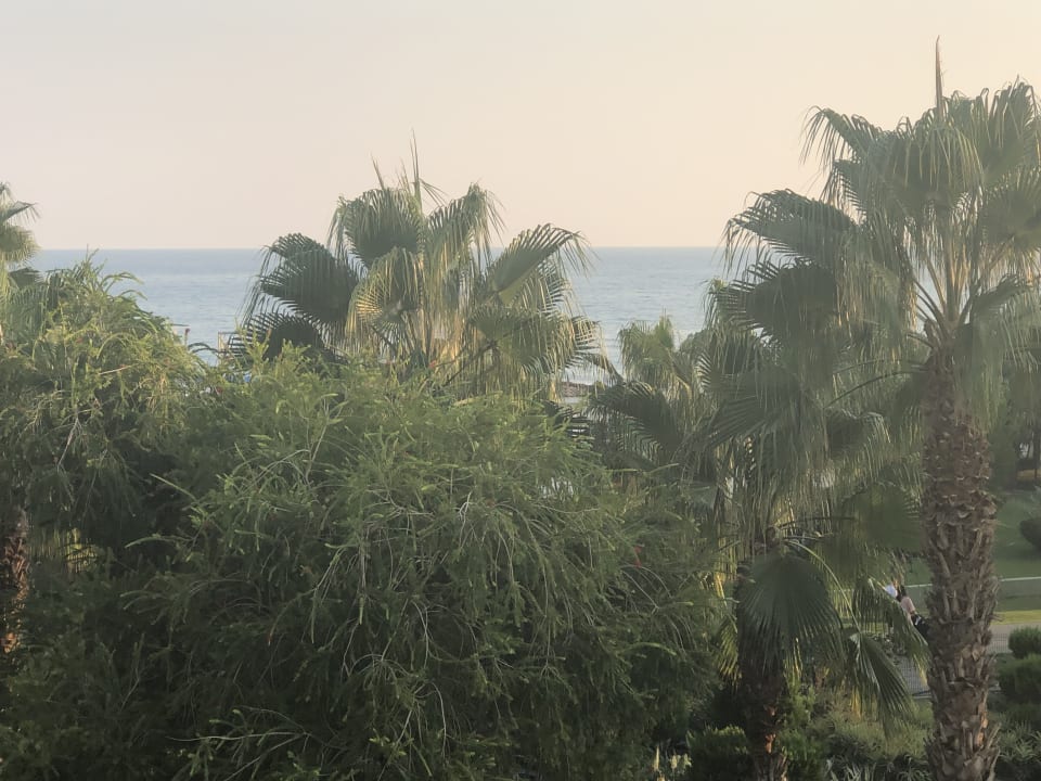 Ausblick VONRESORT Golden Coast