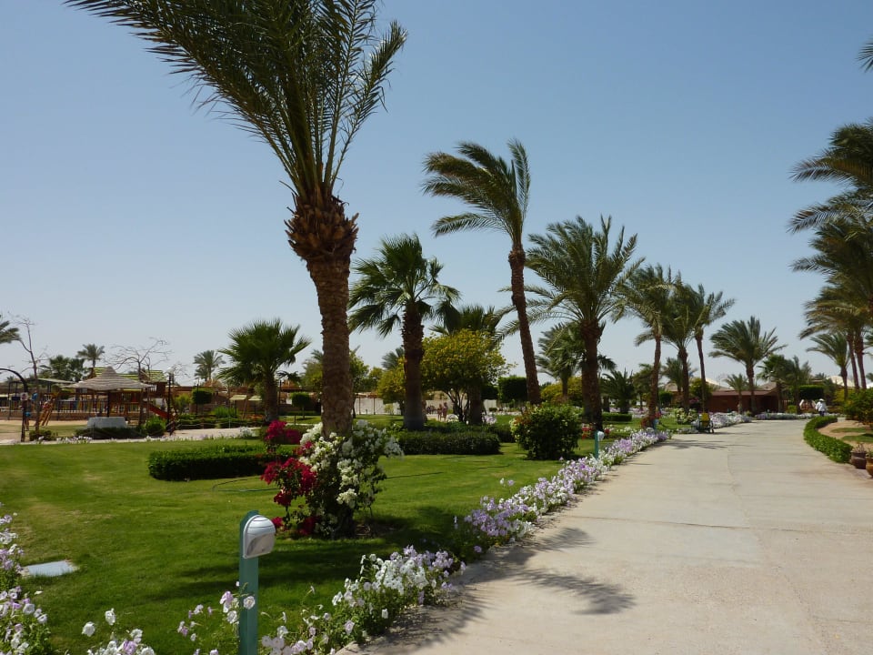 Hotelanlage Desert Rose