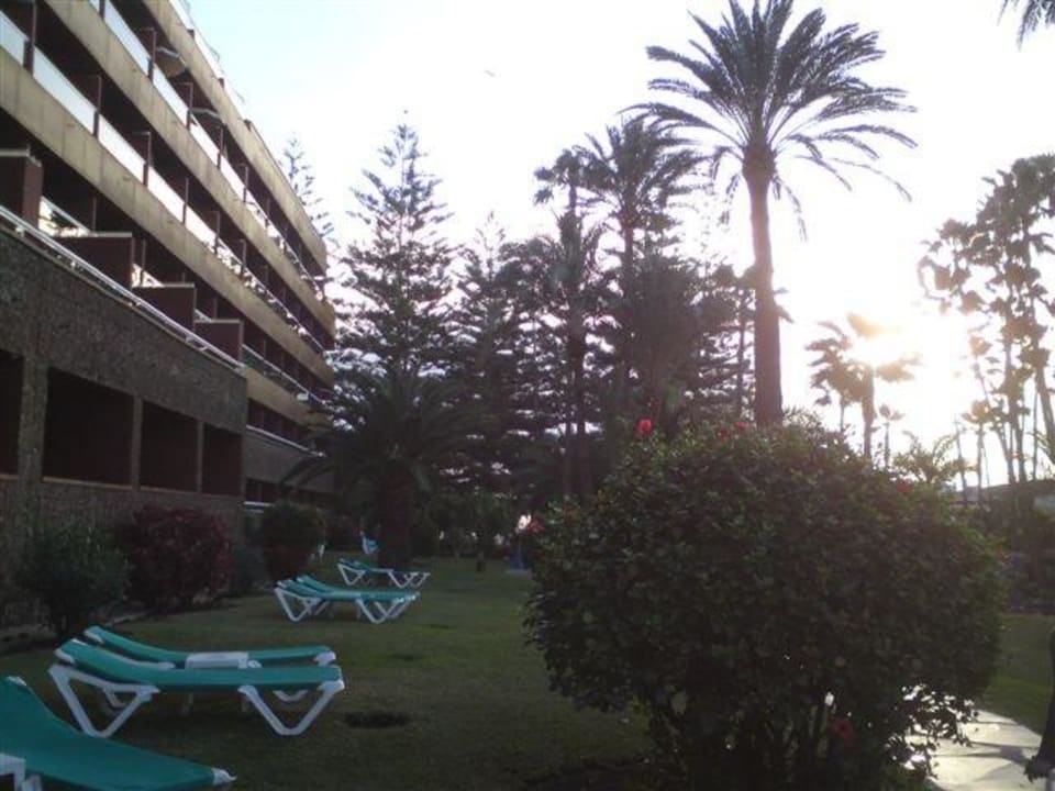 Gartenanlage Hotel Riu Palace Oasis