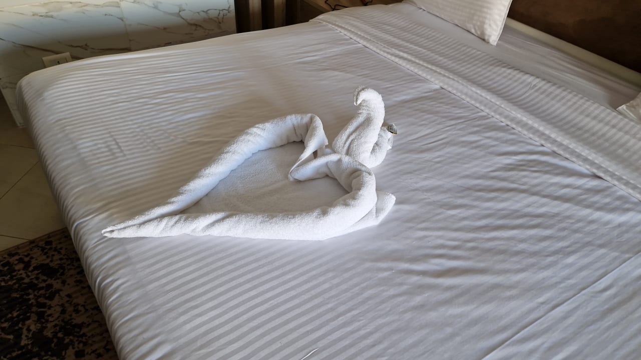 Zimmer Titanic Royal