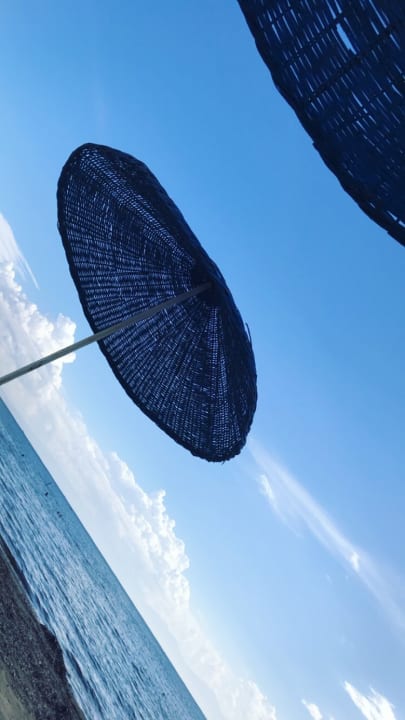 Strand Paloma Pasha