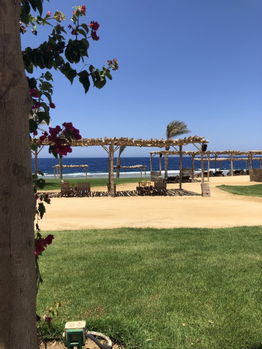 Strand Steigenberger Resort Alaya Marsa Alam - Red Sea - Adults only