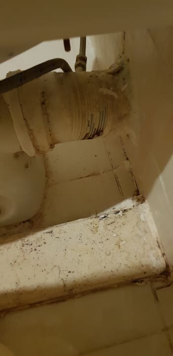 Zimmer Royal Star Beach Resort