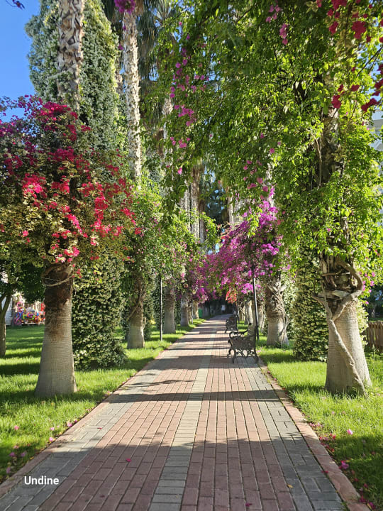 Außenansicht Hotel Gardenia Beach