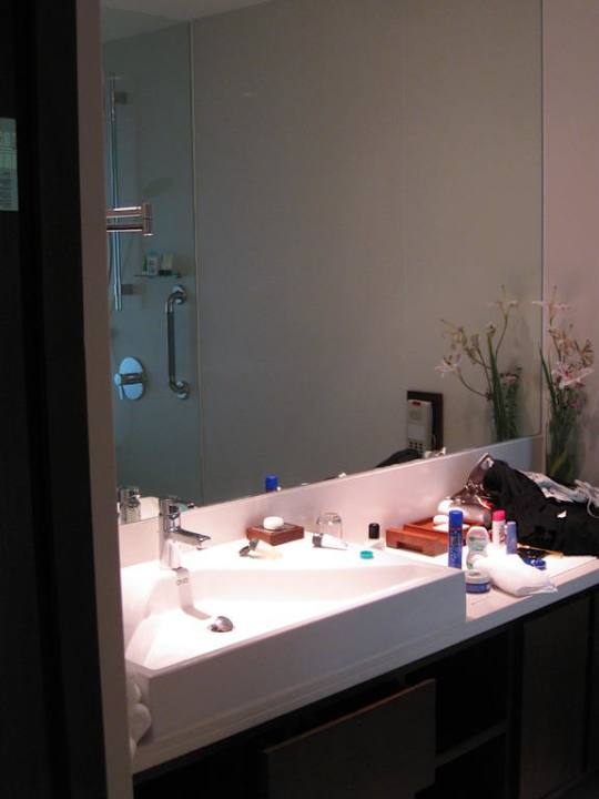 Bad Hotel Swissôtel Kolkata