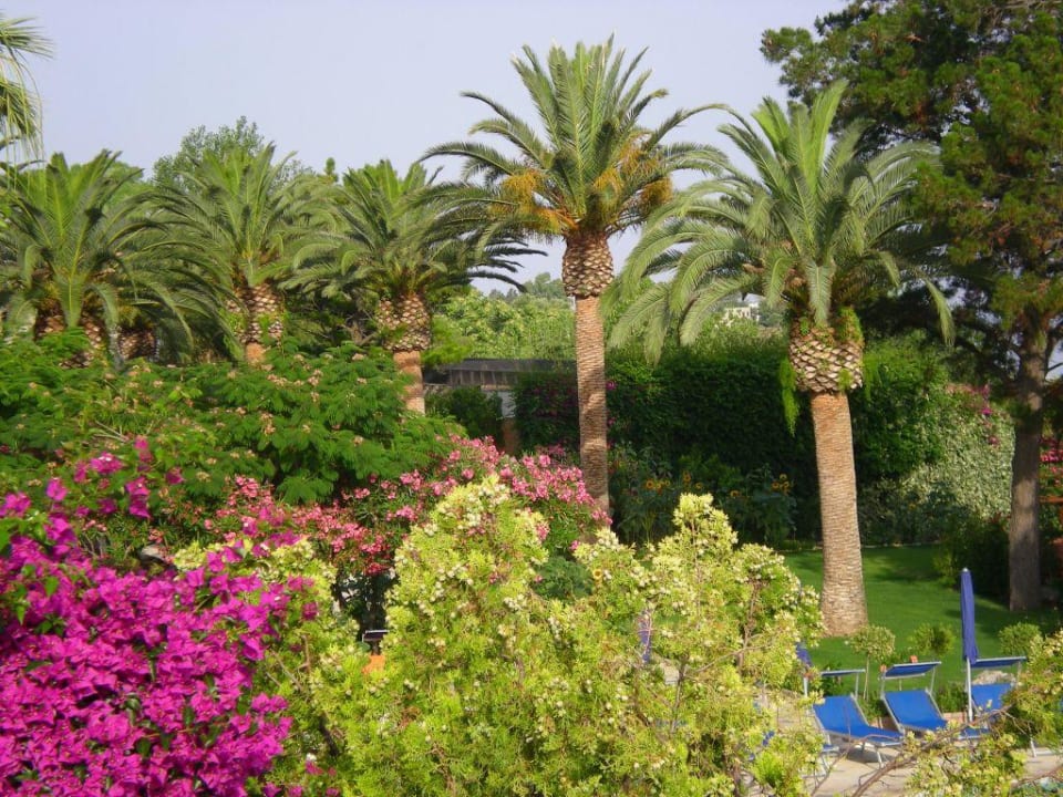 Gartenanlage Aldiana Club Rocca Nettuno Calabria