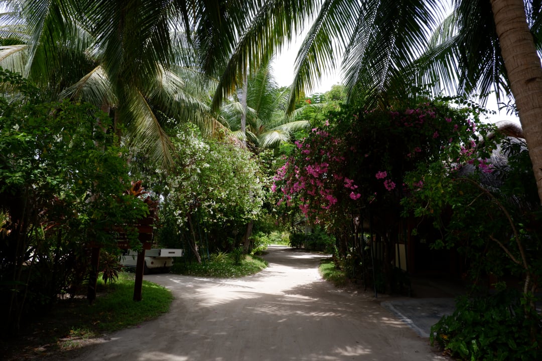 Gartenanlage Kuramathi Maldives