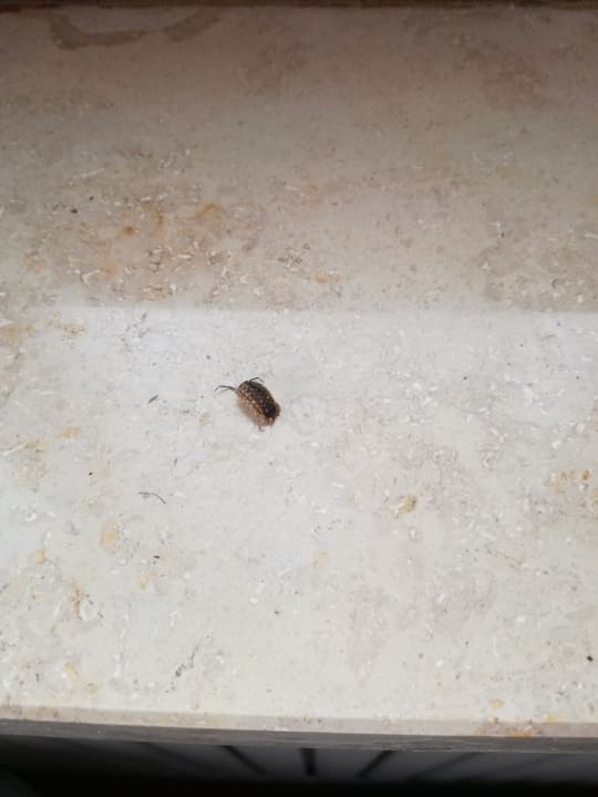 Zimmer Alpenchalet Reit im Winkl