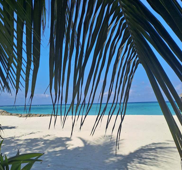 Strand Fihalhohi Maldives