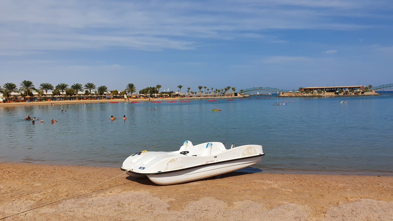 Ausblick Desert Rose