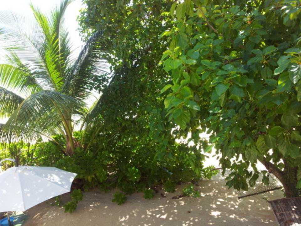 Blick in den Garten Villa Dorado