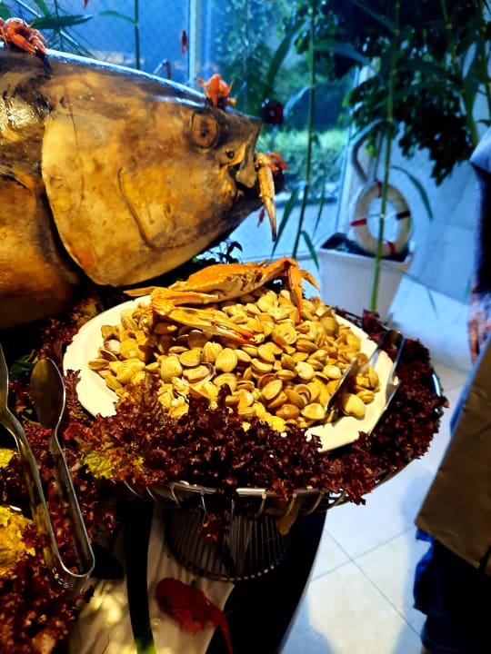 Gastro Well Palace Side