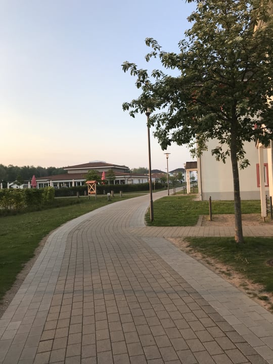 Gartenanlage BEECH Resort Boltenhagen