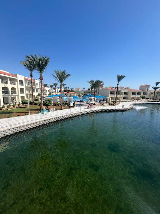 Pool Pickalbatros Dana Beach Resort - Hurghada