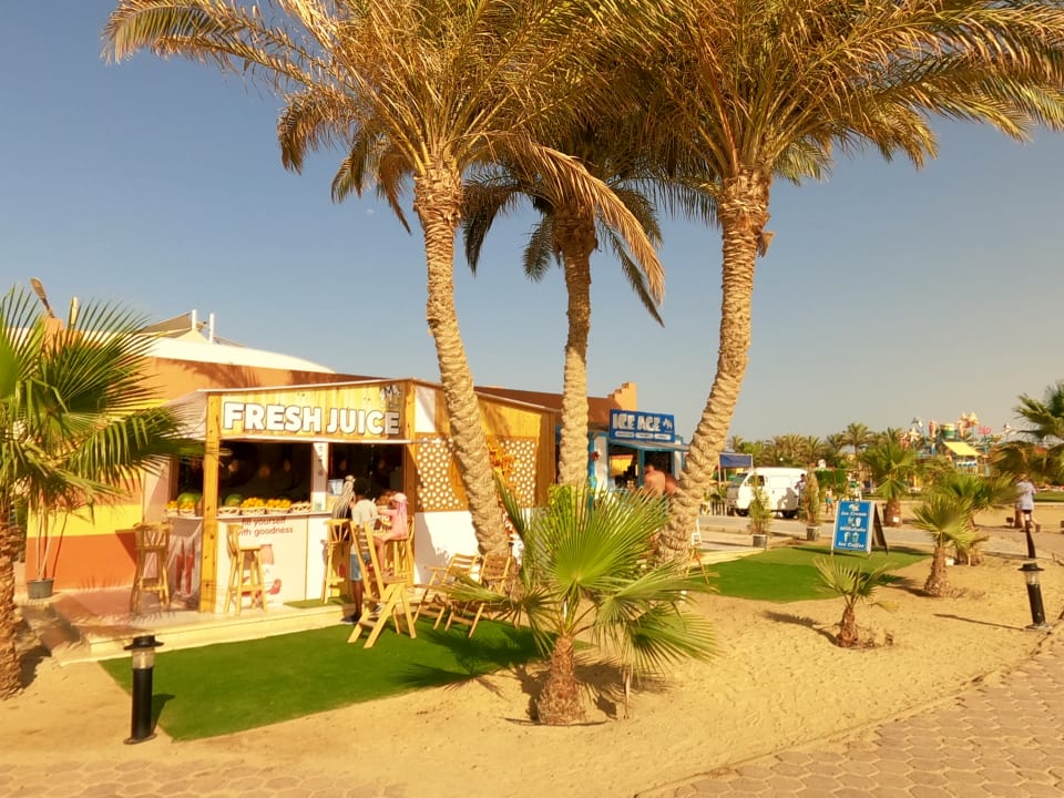 Strand Malikia Resort Abu Dabbab