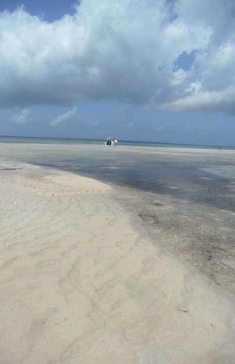 Sandbank  Dreams La Romana Resort & Spa