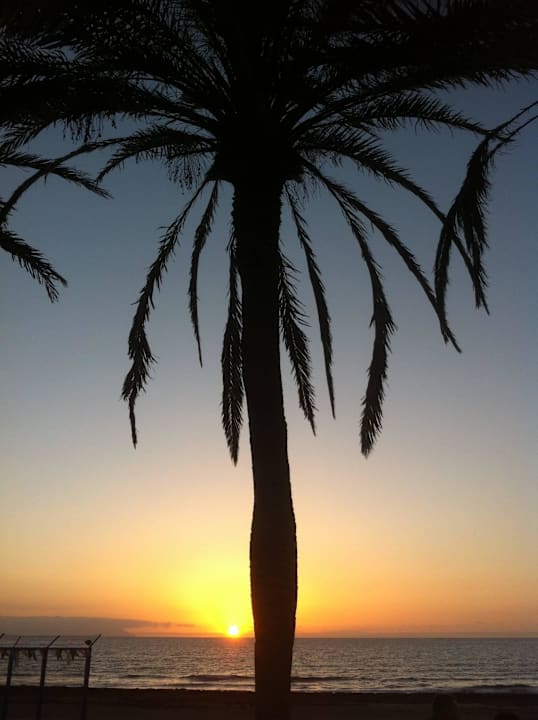 Hôtel H10 Las Palmeras - La Vue H10 Las Palmeras